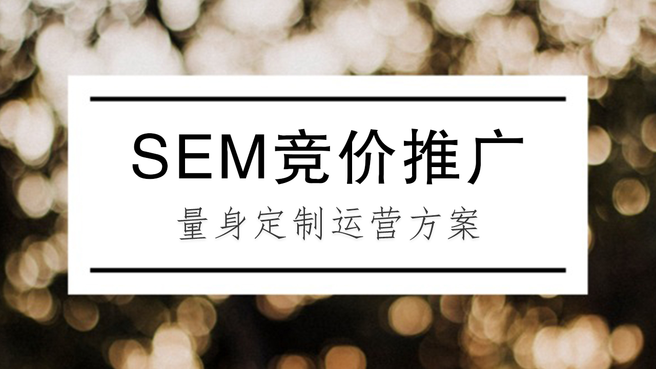 SEM竞价推广：利用数据驱动实现营销目标